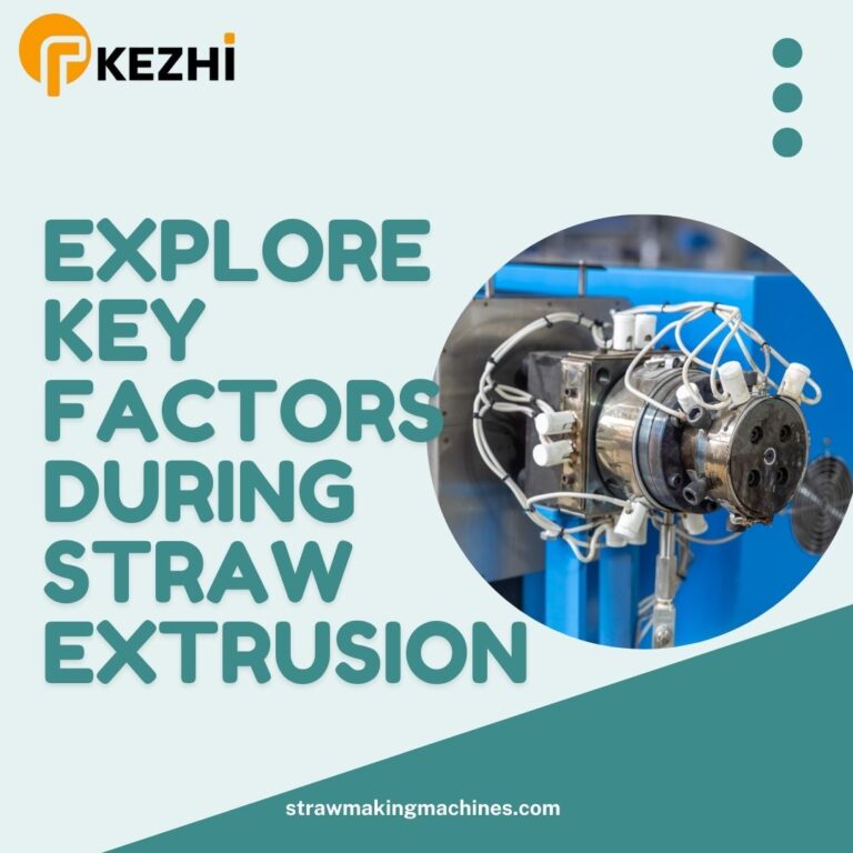 How Paper Straws Are Made: Step-by-Step Manufacturing Guide